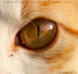 Canon Ef 70-210mm F4 Testbilder
