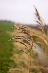 Nikon 35mm f1.8 Beispielbild - Sample