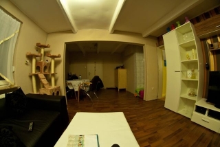 Wohnzimmer mit Fisheye fotografiert