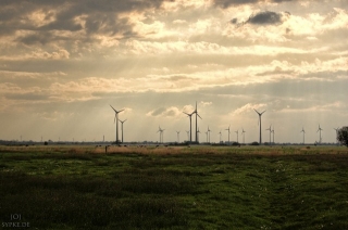 ostfriesland