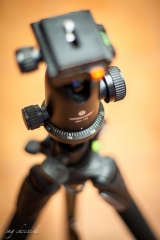 vanguard-carbon-alta-pro-283ct-kugelkopf-sbh-100-3
