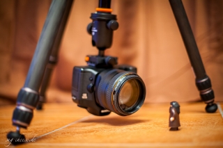 vanguard-carbon-alta-pro-283ct-kugelkopf-sbh-100-6